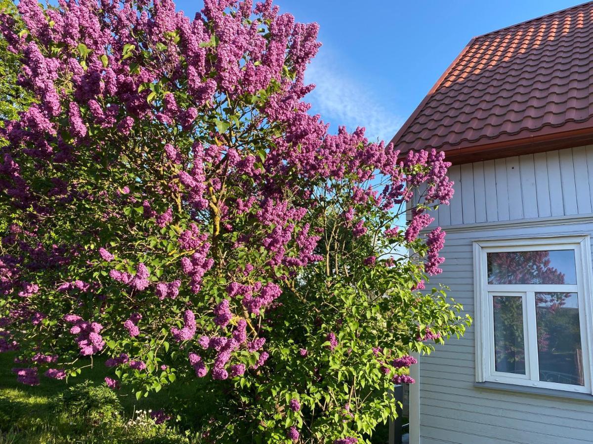 Skrunda Apartments Rustic Exterior photo